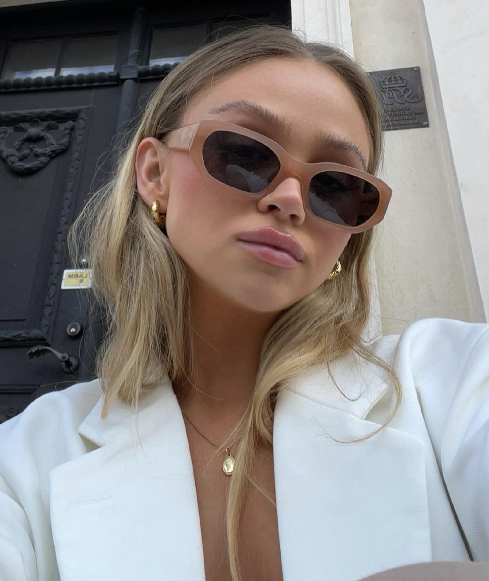 Taupe Sunglasses Felix Smoke | VEHLA
