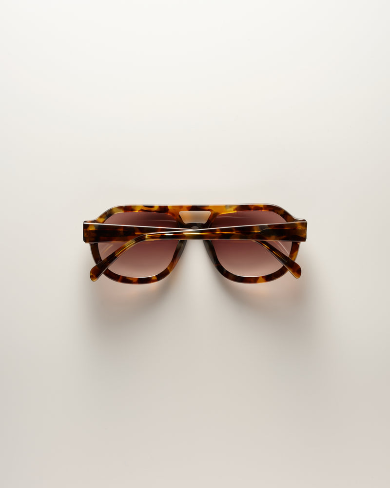 Phoenix Tort / Mocha Sunglasses | VEHLA