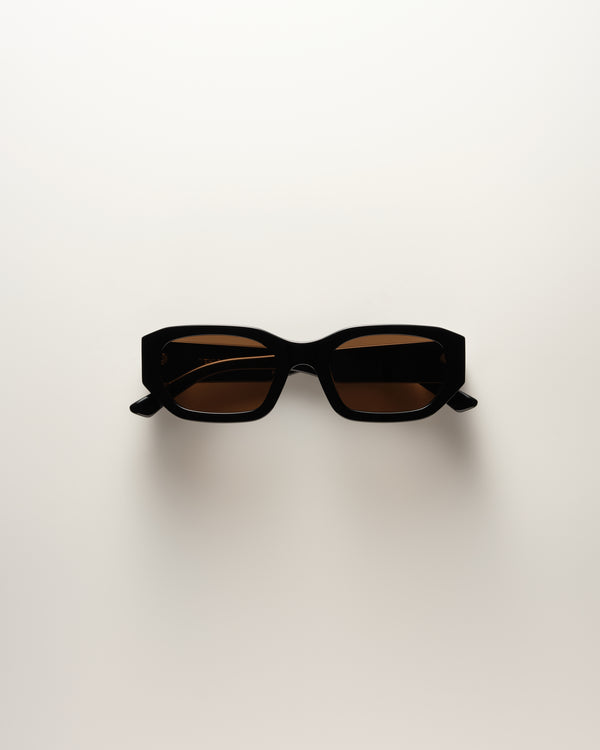 Felix Sunglasses | Black / Choc | VEHLA display picture 2