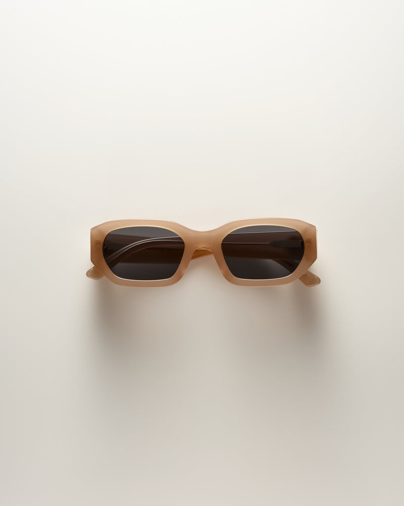 Taupe Sunglasses Felix Smoke | VEHLA display picture 1