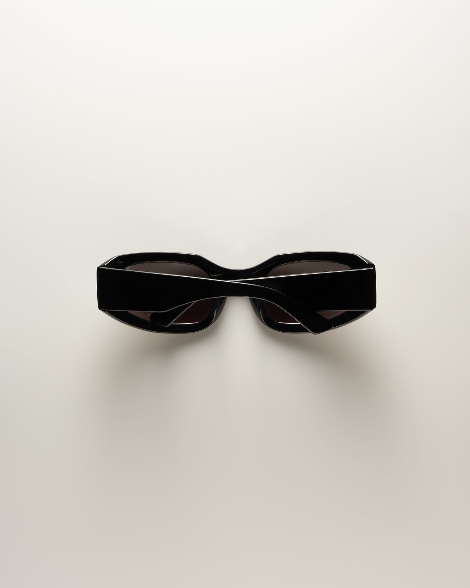 Gia Black / Smoke Sunglasses | VEHLA display picture 2